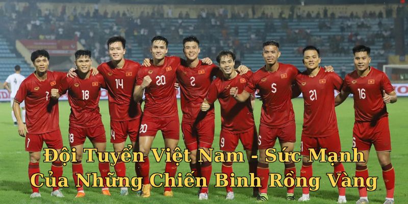 Đội tuyển việt nam